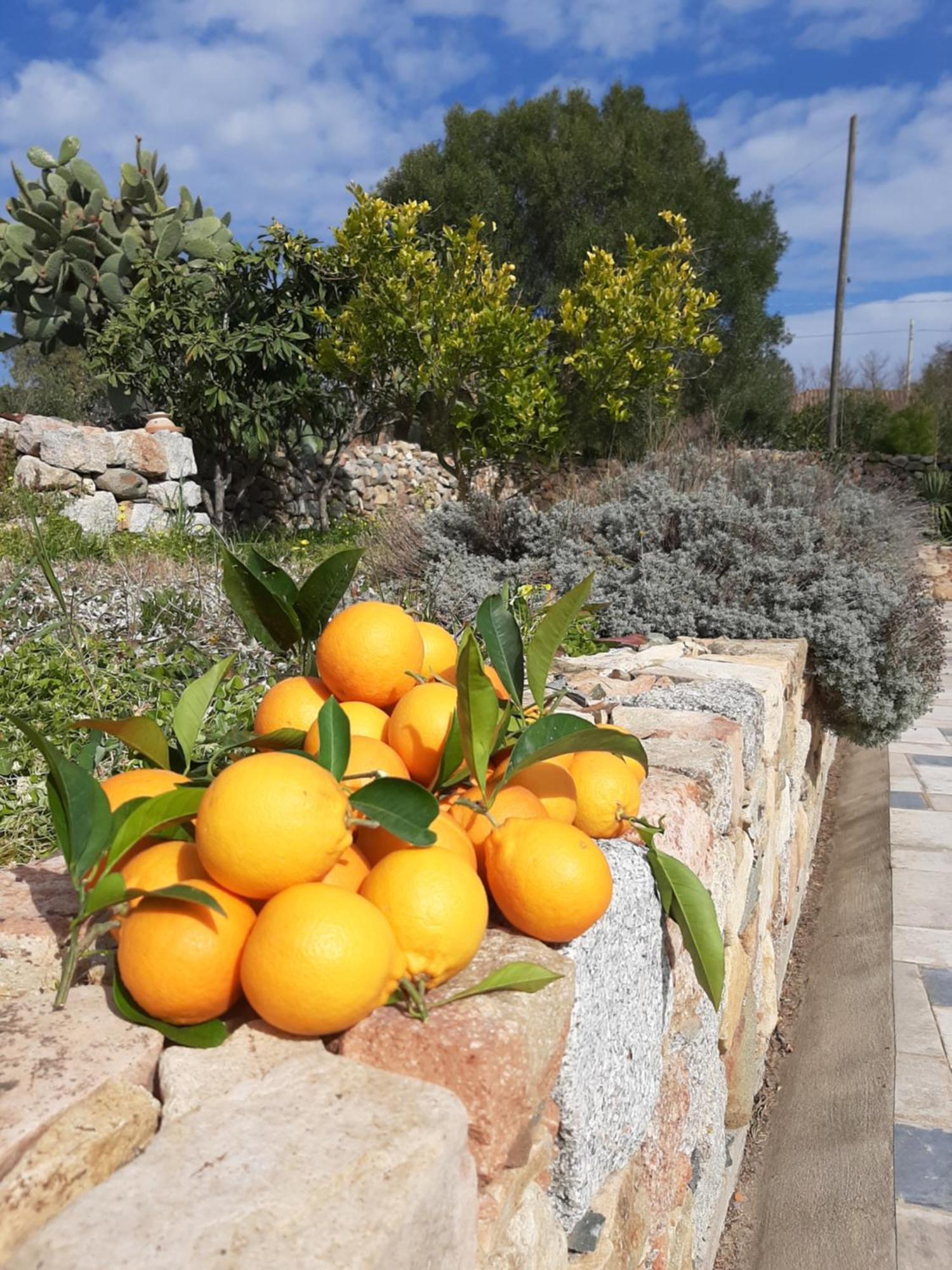 Casale Diletta Bed and Breakfast Castiadas Buitenkant foto