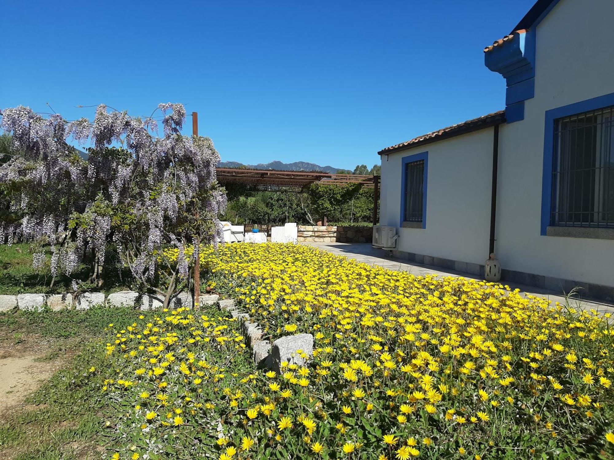 Casale Diletta Bed and Breakfast Castiadas Buitenkant foto
