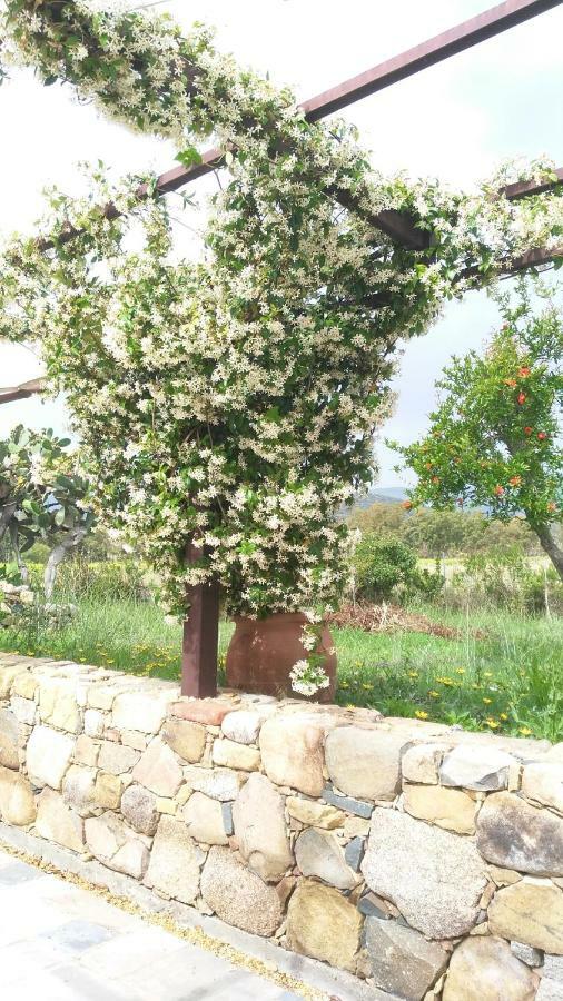 Casale Diletta Bed and Breakfast Castiadas Buitenkant foto